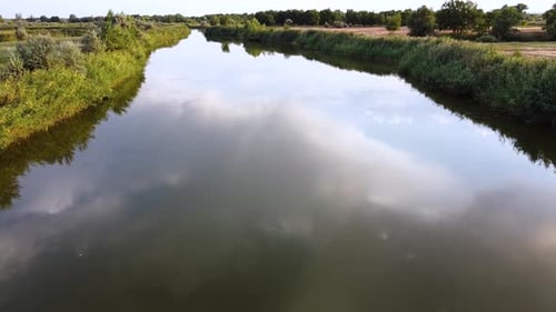 Beautiful river with green reed on the shore