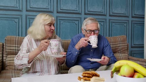 Elderly Couple Drinking Tea and Chatting at Home