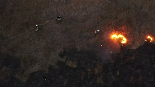 Shooting From a Drone. Burning Dry Grass on the Field. Firefighters Are Extinguishing the Fire.