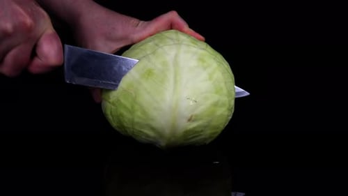 Head of Cabbage Being Cut in Half