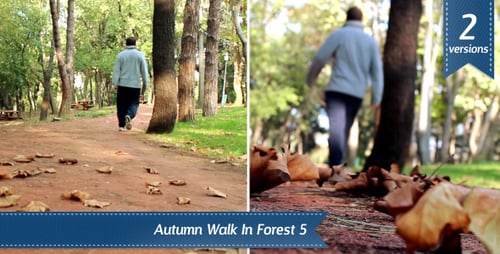 Man Walks on Leafy Path in Autumn Park