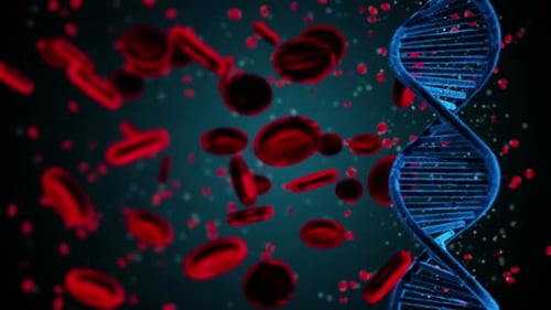 Animated DNA Helix and Blood Cells Science Loop