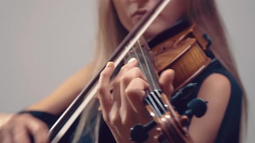 Close-up of Female Hands Playing on Violin. Musician with an Instrument