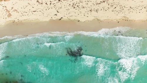 Top Down View on Beautiful White Sandy Beach and Gorgeous Green Ocean Waters