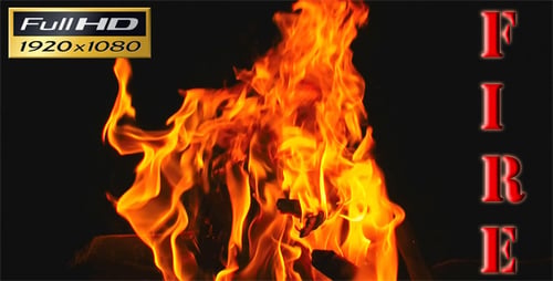 Vibrant Flames Dancing Against Black Background