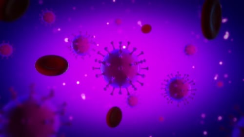 Animated Viruses and Red Blood Cells in Microscopic Purple Background