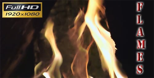 Abstract Dancing Flames on Black Background