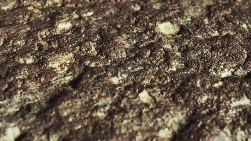 Closeup of Dirty Ground Road