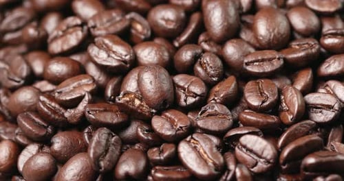 Roasted Coffee Beans Rotating in a Pile