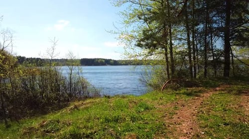 Scenic Lake Surrounded by Trees in Spring