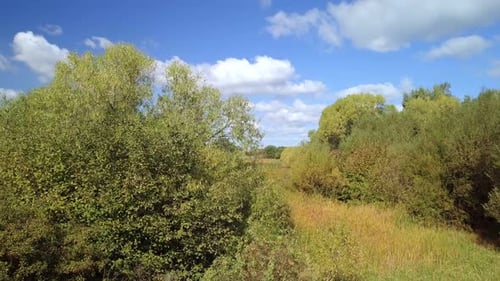 Beautiful autumn landscape with small pond