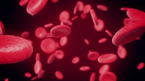 Flowing Red Blood Cells in a Microscopic Medical Animation