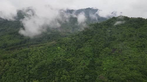 Drohnenaufnahme des nebligen tropischen Regenwaldes im Tal, Indonesien.