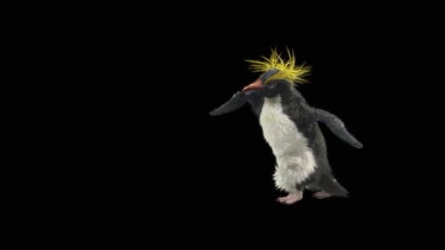 Penguin Dancing HD