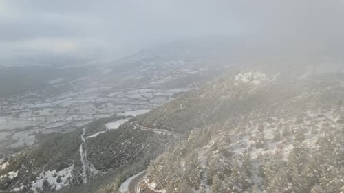 Winter Foggy Forest with Snow Aerial View