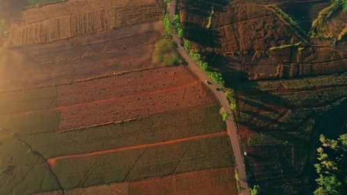 4K: voo com vista aérea sobre o belo campo ao pôr do sol. Paisagem rural