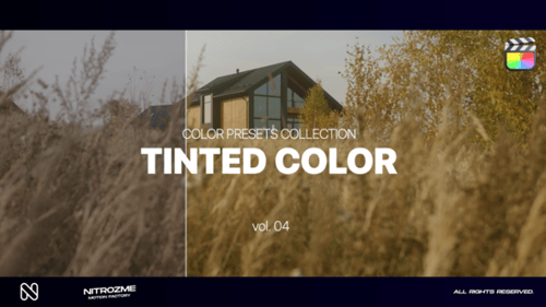 Tinted LUT Collection Vol. 04 for Final Cut Pro X