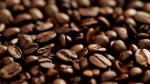 Roasted Coffee bean