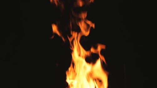 In Mangal steigen nachts helle Flammen aus brennenden Holz- und Holzkohlescheiben auf. Brennholz und Kohle
