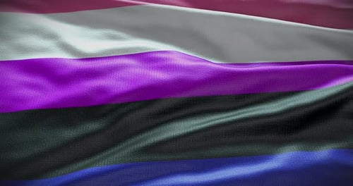 Animation mit wehender Flagge von Genderfluid