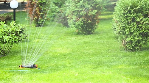 Automatic Watering