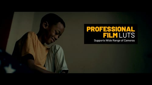 Professional Film LUTs