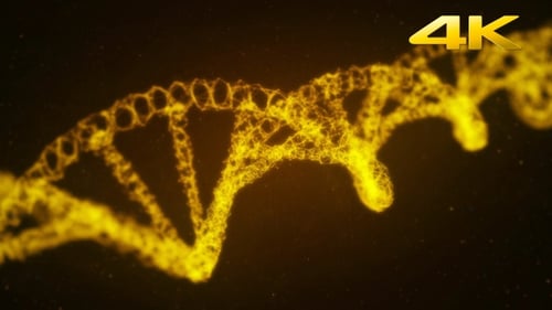 Goldener Plexus DNA-Hintergrund 4K