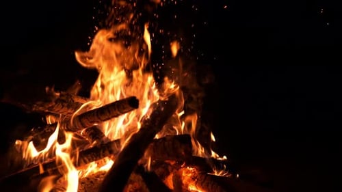 Campfire Burns Brightly at Night with Flying Sparks