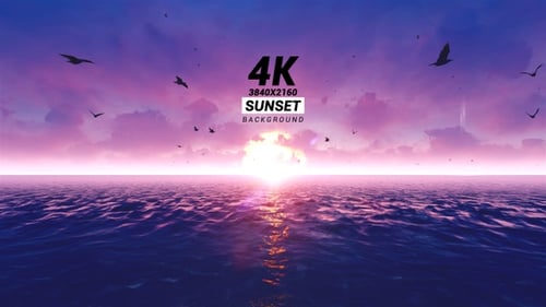 Sunrise Sunset Over Ocean with Flying Birds