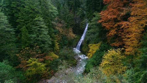 Waterfall Flowing Through Colorful Forest in Autumn