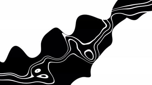 Abstract Fluid Lines Morphing Black and White Background Animation