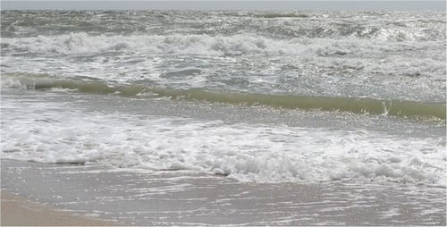 Sea 2
