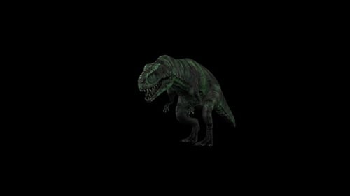 3D Animated Tyrannosaurus Rex Walking Cycle