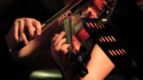 Violinist Performing Live in Concert Venue