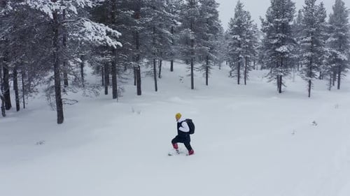 Tourist Man Walking Trail Forest In Winter, Aerial. Winter Sport Activity. Man Tourist Hiking Snow