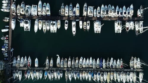 Aerial Top View Yachts in Marina
