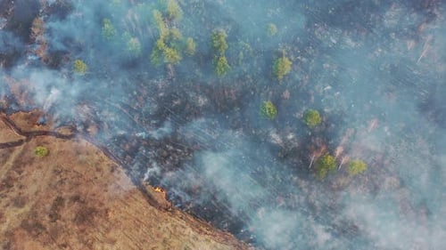 Aerial View. Spring Dry Grass Burns During Drought Hot Weather. Bush Fire And Smoke In Deforestation