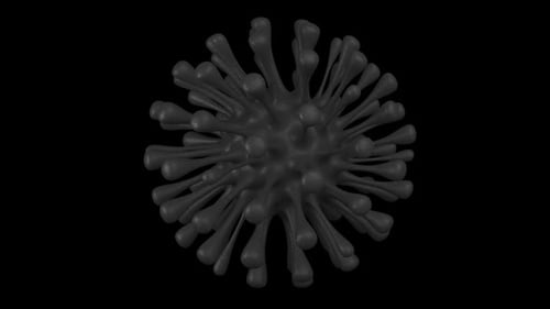 Coronavirus Dark Grey