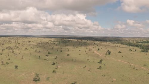 Aerial drone view of african safari game reserve landscape in Laikipia, Kenya