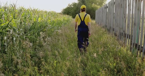 A Farmer in a Corn Field