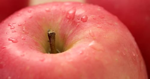 Red Apple Nahaufnahme