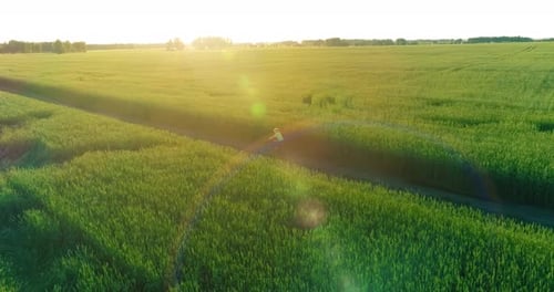 Aerial View on Young Boy That Rides a Bicycle Thru a Wheat Grass Field on the Old Rural Road