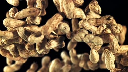 A Pile of Peanuts in the Shell Rises Up and Falls Down