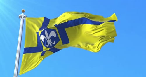 Realistic Flag Waving Animation with Fleur-de-lis Design
