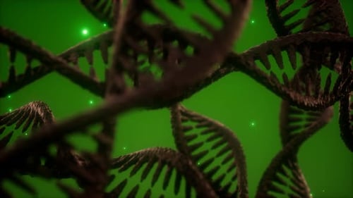 Structure of the DNA Double Helix Animation
