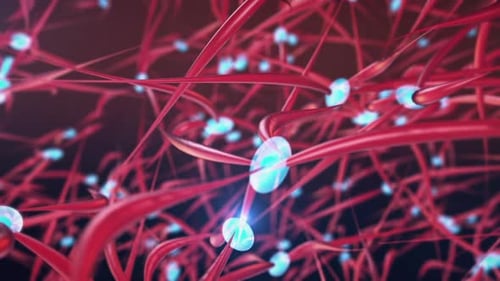 Information Transfer Inside Brain Cells