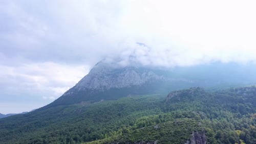 Picturesque Aerial Drone View of Mountains Peak Covered with Fog