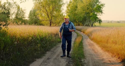 Portrait of a Male Farmer in a Wheat Field