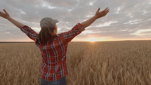 Successful woman farmer walking in wheat field to meet sun at sunset raising