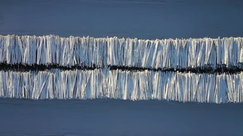 Aerial View of Logs on Snowy Winter Landscape